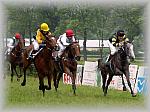 P6020841_1_th.jpg 6.0K