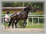 P6090961_th.jpg 5.6K