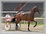 P6090967_th.jpg 5.6K
