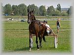 P6090968_th.jpg 5.1K
