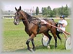 P6090969_th.jpg 5.9K