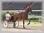 P6090975_th.jpg 5.8K