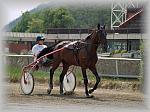 P6090977_th.jpg 5.5K