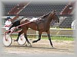 P6090978_th.jpg 5.9K