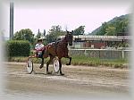 P6090988_th.jpg 4.5K