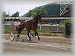 P6090989_th.jpg 5.0K