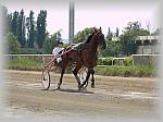 P6090991_th.jpg 5.0K