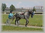 P6091025_th.jpg 5.0K