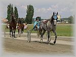 P6091028_th.jpg 4.8K