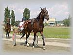 P6091029_th.jpg 5.1K