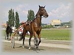 P6091030_th.jpg 4.9K
