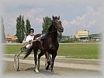 P6091031_th.jpg 4.5K