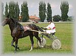 P6091057_th.jpg 5.8K