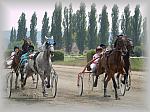 P6091070_th.jpg 6.0K