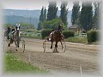 P6091081_th.jpg 4.8K