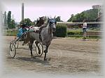 P6091086_th.jpg 5.0K