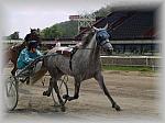 P6091087_th.jpg 5.1K