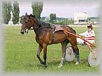 P6091100_th.jpg 5.4K