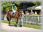 P6100040_th.jpg 7.2K