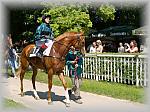 P6100044_th.jpg 7.0K