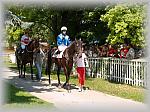 P6100047_th.jpg 7.0K