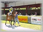 P6100051_th.jpg 5.9K