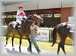 P6100054_th.jpg 6.1K