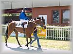 P6100063_th.jpg 6.0K