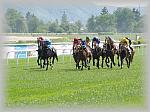 P6100070_th.jpg 5.1K