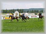 P6100074_th.jpg 5.0K