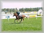 P6100075_th.jpg 4.8K