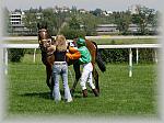 P6100090_th.jpg 5.9K