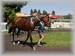 P6100094_th.jpg 5.5K