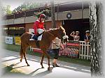 P6100182_th.jpg 6.2K