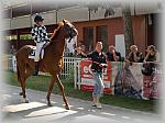 P6100183_th.jpg 5.9K