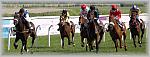 P6100199_1_th.jpg 4.1K