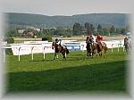P6100200_th.jpg 4.4K