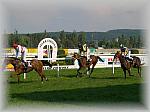 P6100204_th.jpg 4.8K