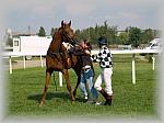 P6100218_th.jpg 5.1K