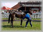 P6100224_th.jpg 6.2K