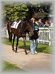 P9090014_th.jpg 6,0K