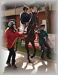 P9090046_th.jpg 6,0K