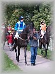 P9090047_th.jpg 6,3K