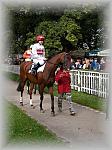 P9090050_th.jpg 5,7K