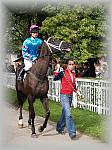 P9090053_th.jpg 6,6K