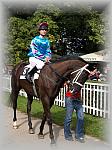 P9090054_th.jpg 6,4K