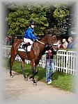 P9090056_th.jpg 6,3K