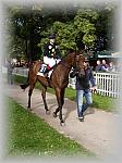P9090059_th.jpg 5,9K