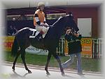 P9090076_th.jpg 5,0K