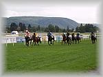 P9090087_th.jpg 4,1K